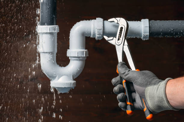Professional Emergency Plumber technician working in Gregory, MI